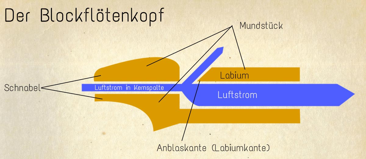 Tonerzeugung bei der Blockflöte