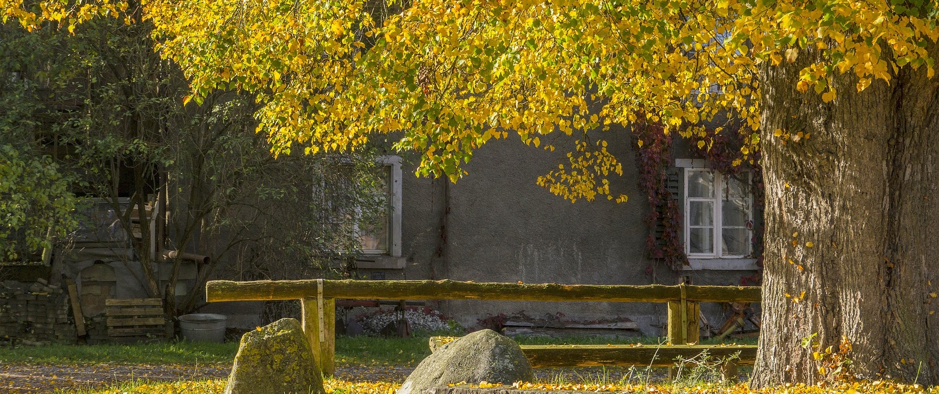 Am Brunnen vor dem Tore - Beitragsbild